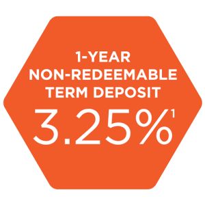 Non-Redeemable_3.25