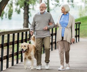 smiling senior couple walking with golden retriever dog in park